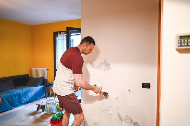 Professional Mold Removal in Black Diamond, WA