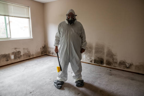 Best Mold Testing  in Black Diamond, WA